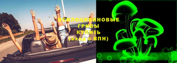 a pvp Гусь-Хрустальный