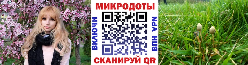 Псилоцибиновые грибы GOLDEN TEACHER  Энем 